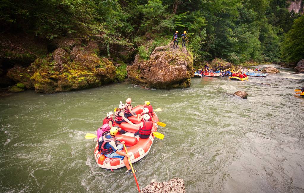 Alpine French School