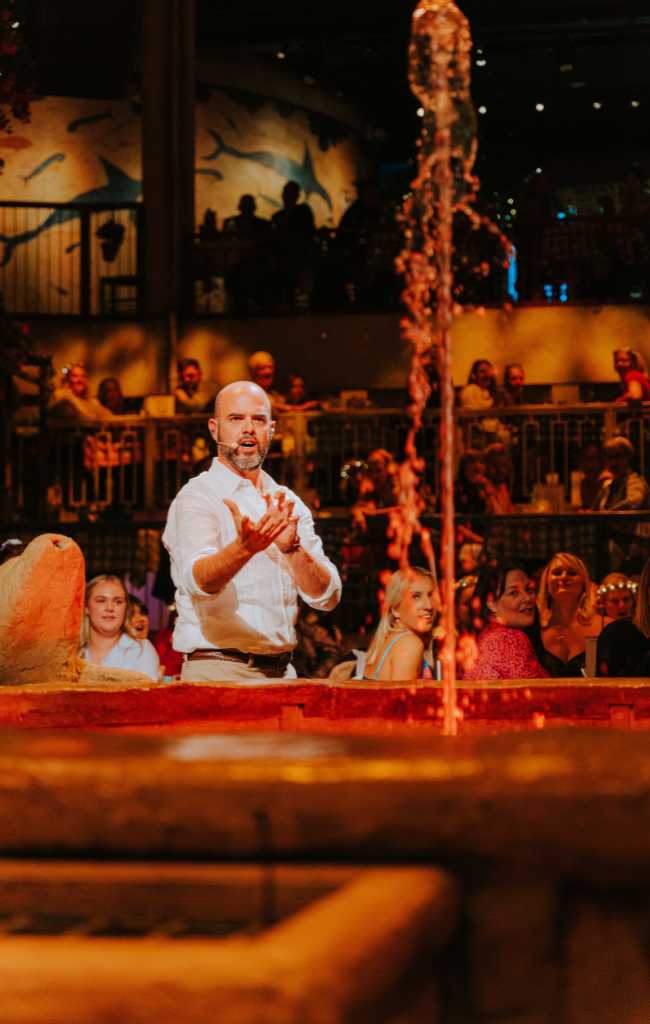 Mamma Mia The Party review