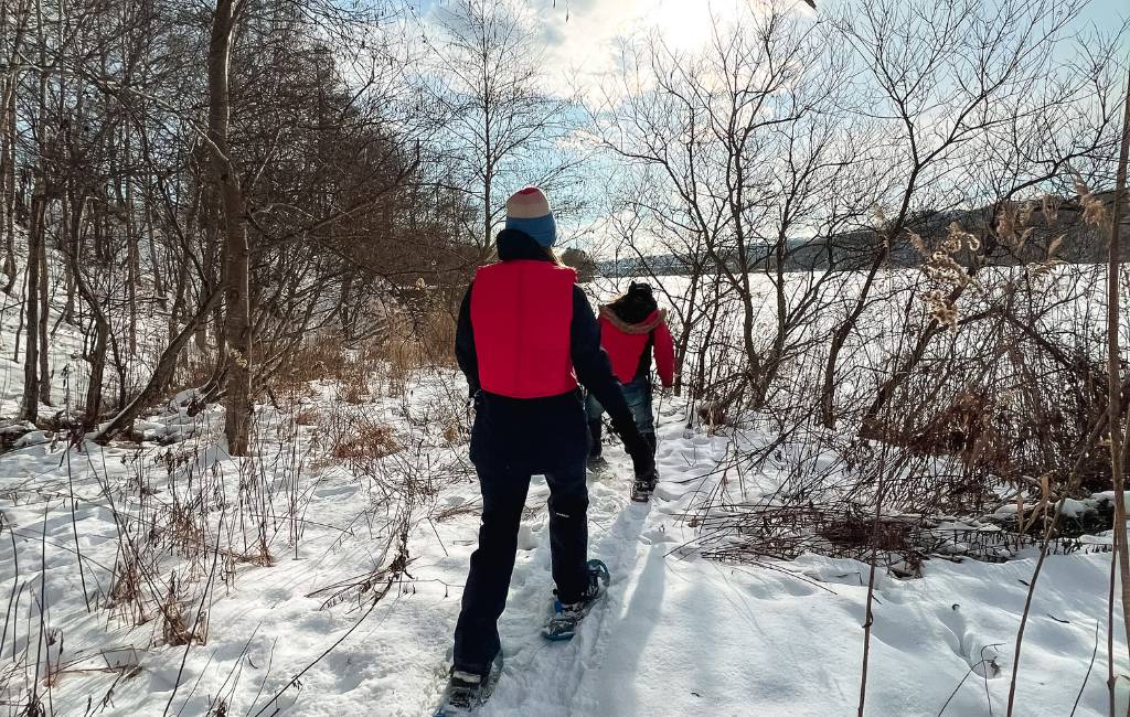 Hokkaido Winter Itinerary