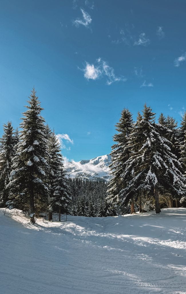 Meribel family ski holiday France