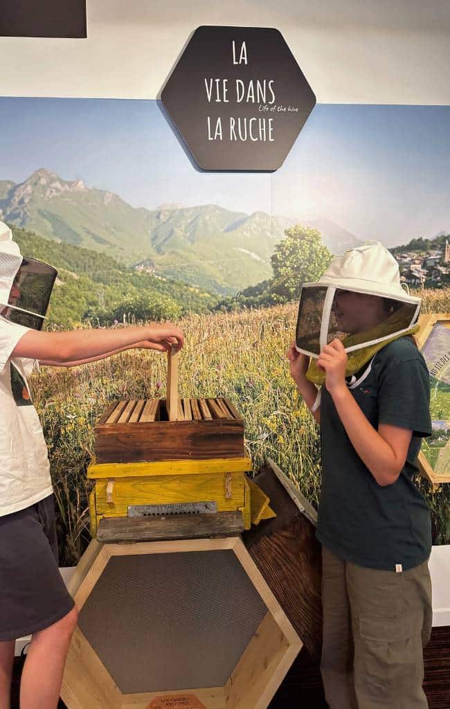 Summer in France's Belleville Valley