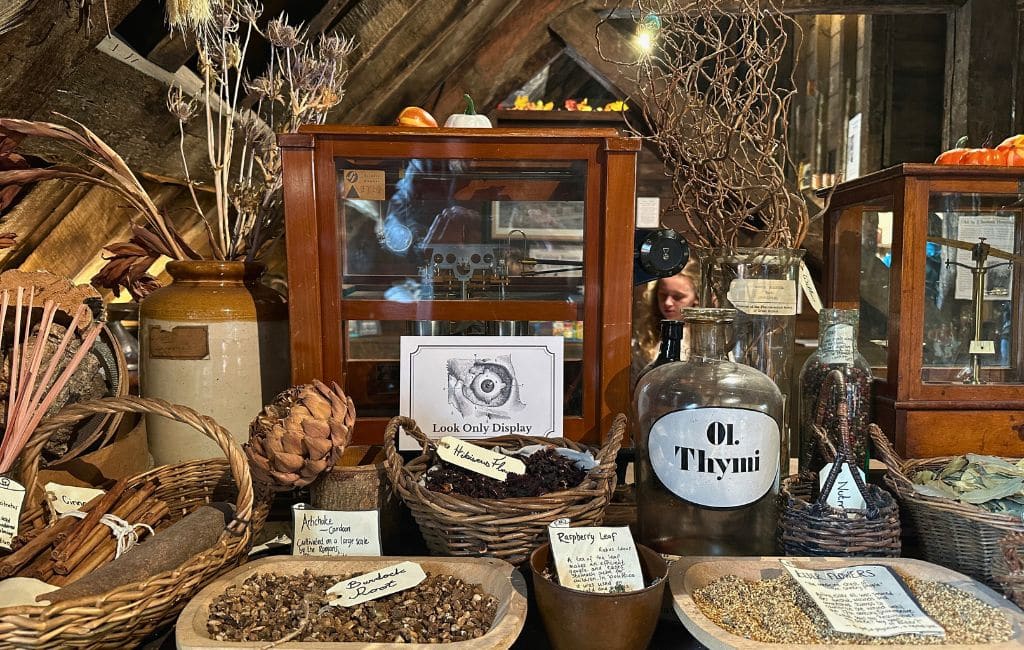 London's Old Operating Theatre