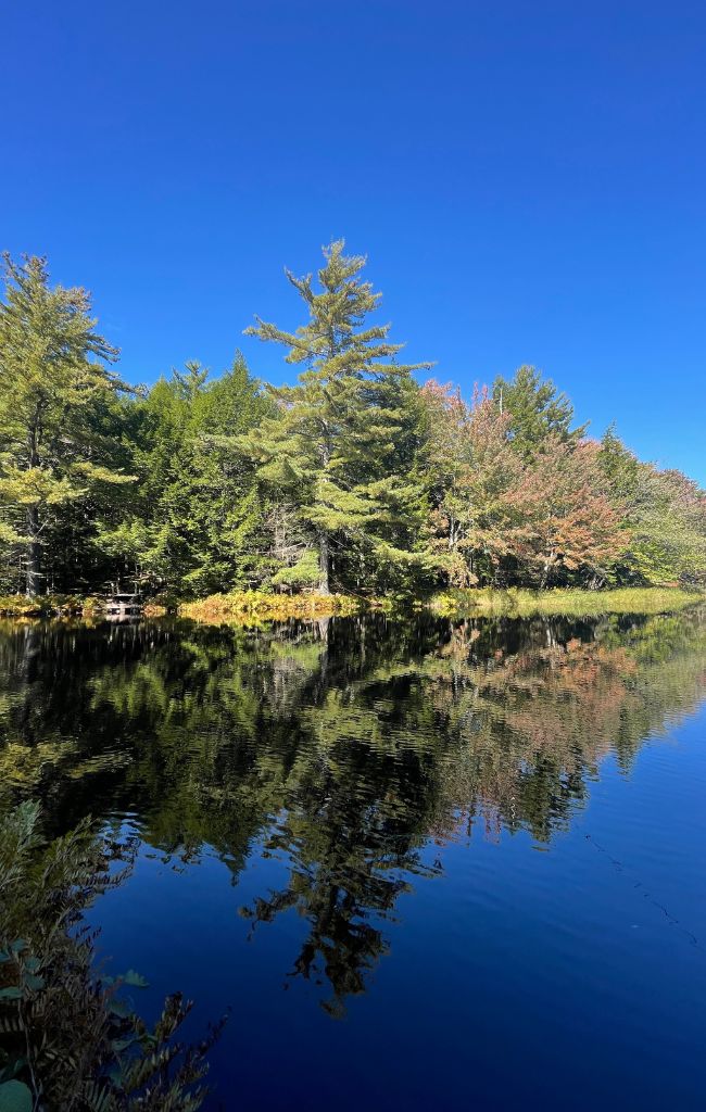 Nova Scotia Road Trip