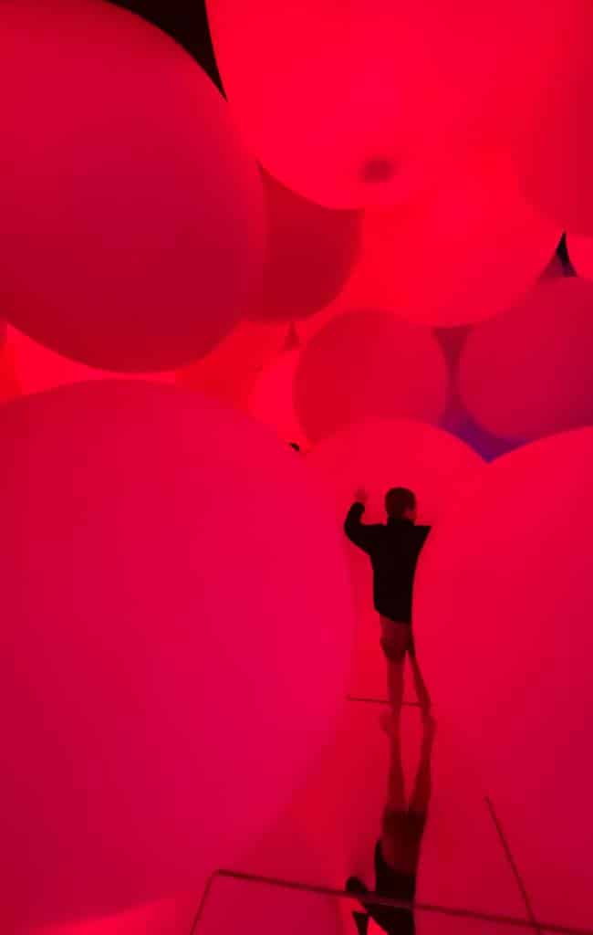 7 day itinerary Tokyo