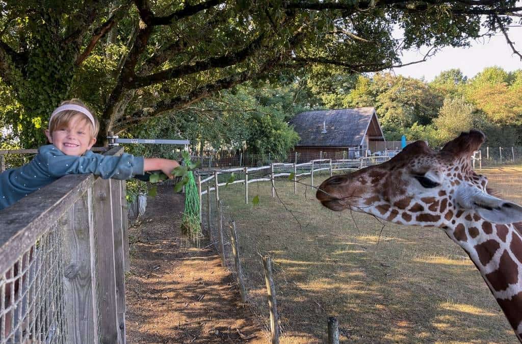 Things to do in Limoges