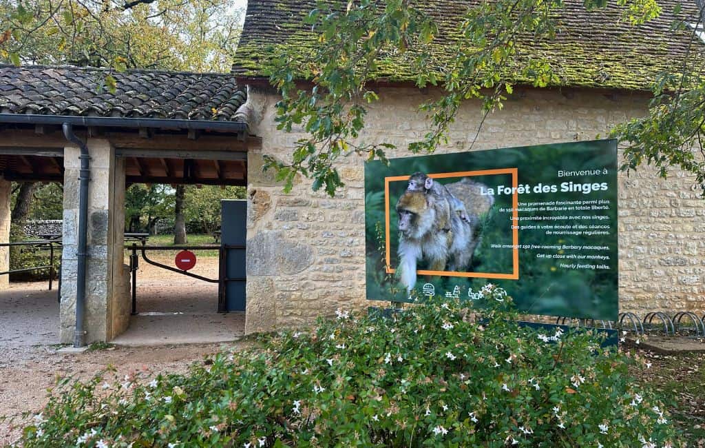 foret des singes monkey forest