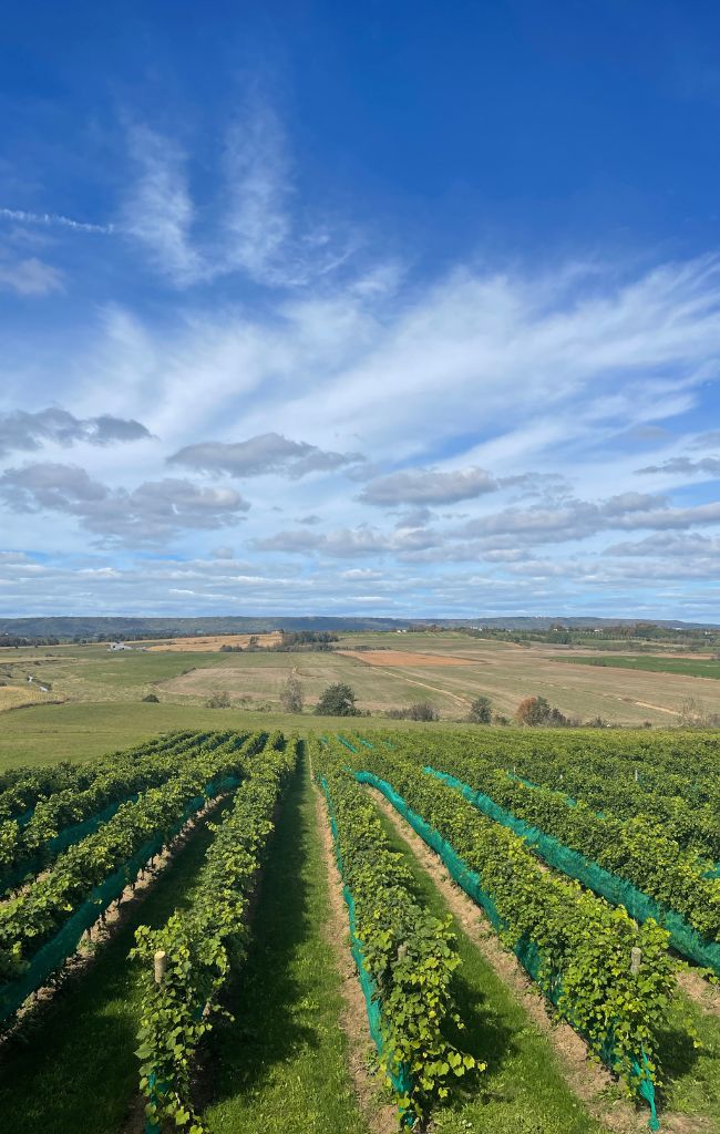 Nova Scotia Road Trip