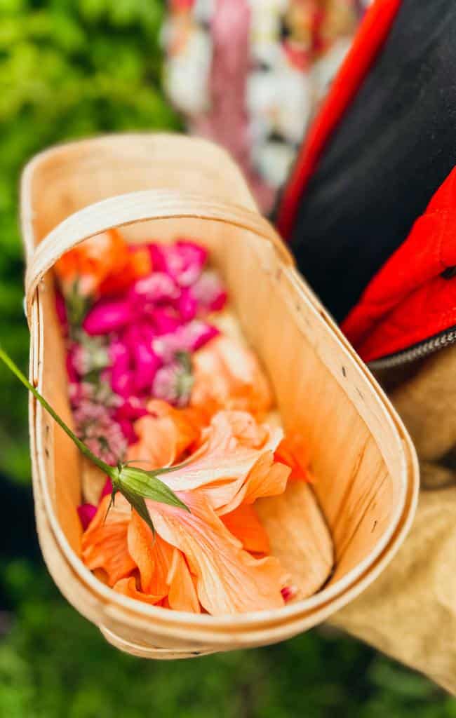 3 days in Quebec City