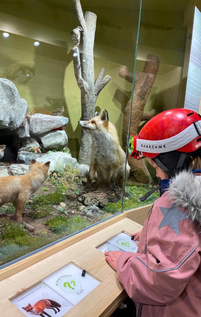 family ski holiday to les arcs