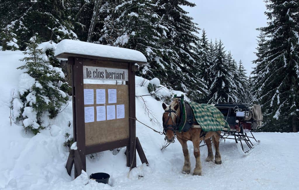 Meribel family ski holiday France