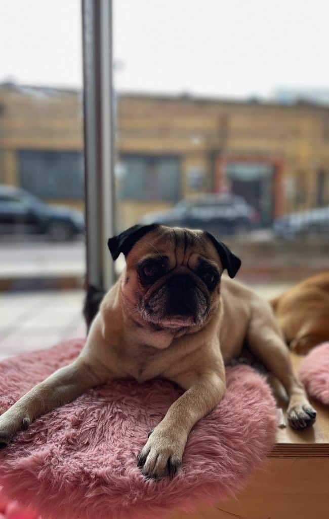 Hidden Gems in London