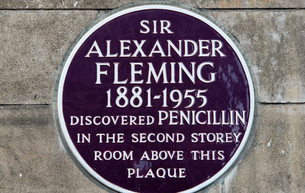 things to do in Paddington London