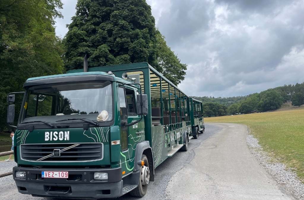 Caves of Han-sur-Lesse