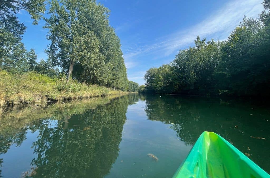 Things to do in Arras, France