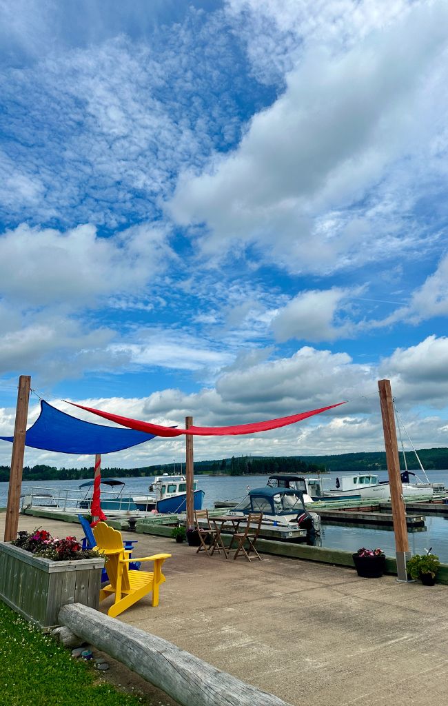 Yurts in the vineyard