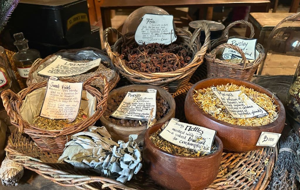 London's Old Operating Theatre