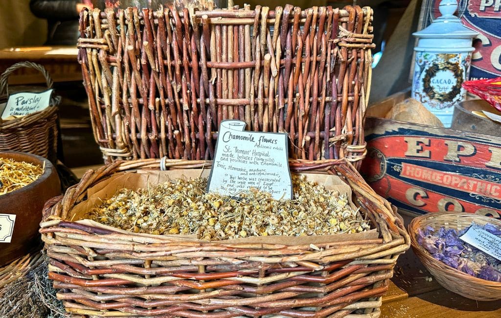 London's Old Operating Theatre