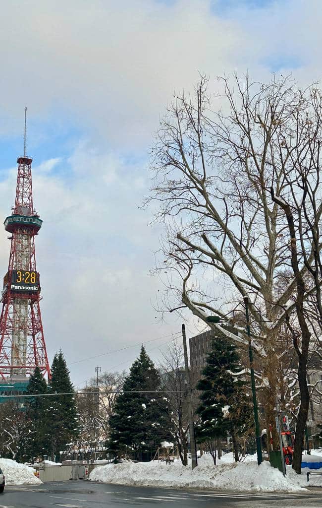 best things to do in Sapporo