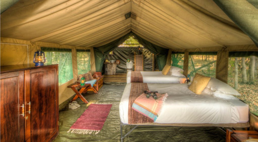 Africa Safari with kids