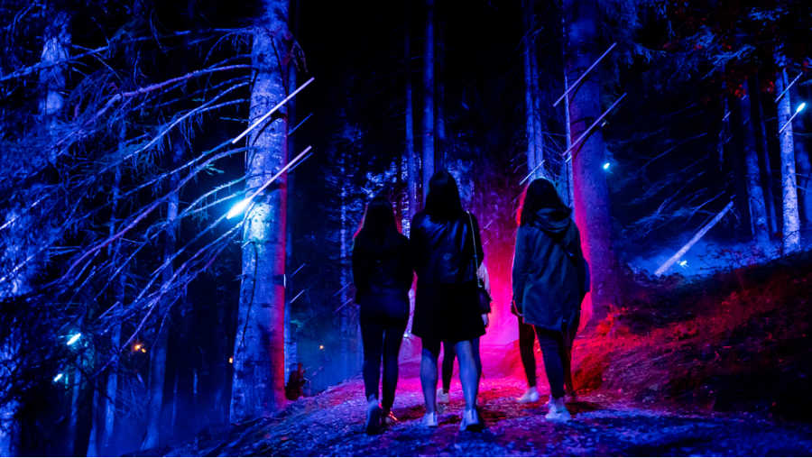 Alta Lumina Les Gets