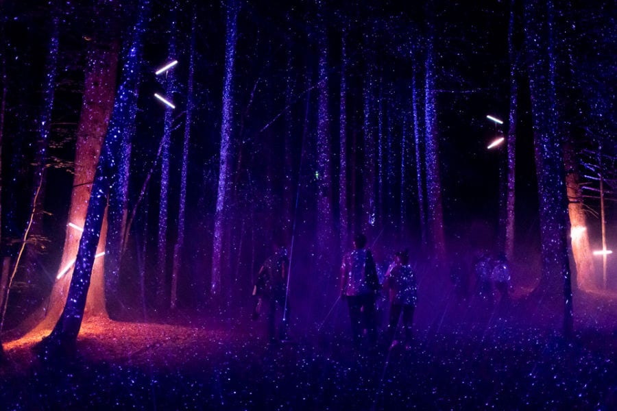 Alta Lumina Les Gets