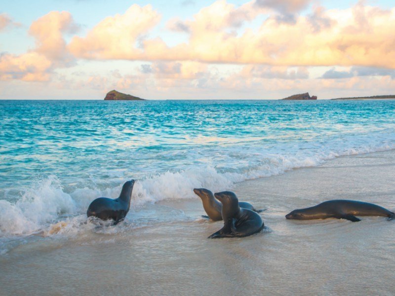 Best family destinations 2018