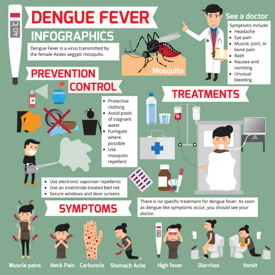 How to prevent Dengue