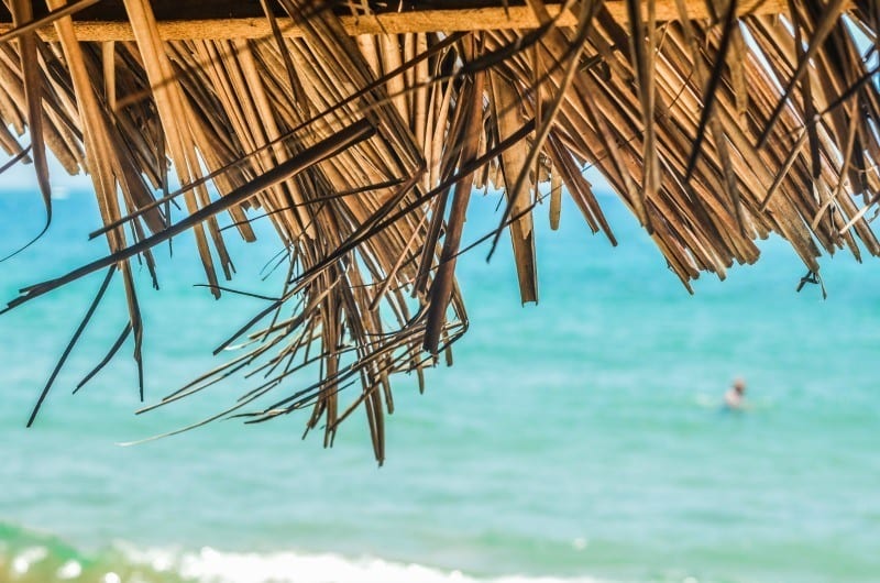 Where to go in the Dominican Republic with kids