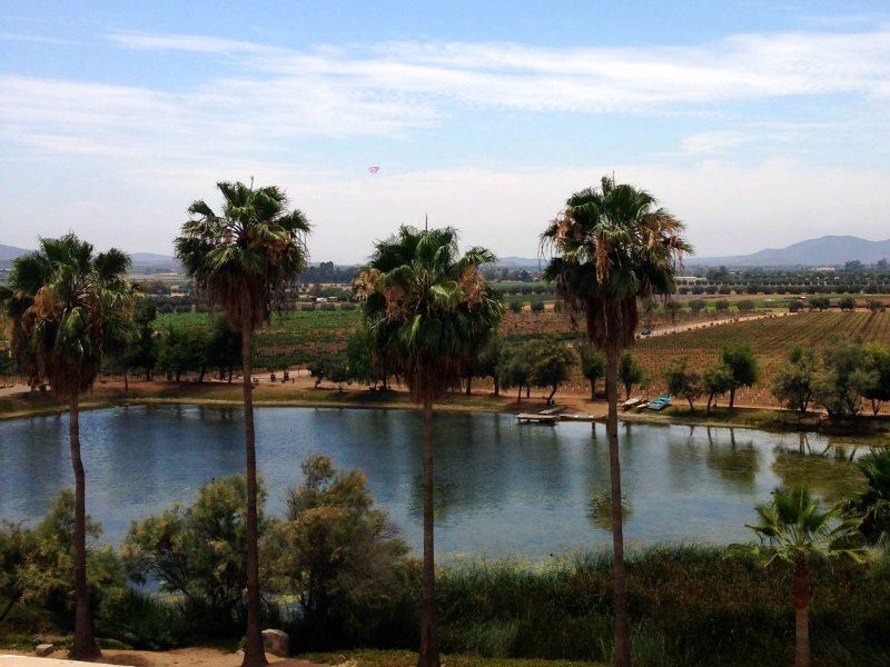 Best wineries in Valle de Guadalupe