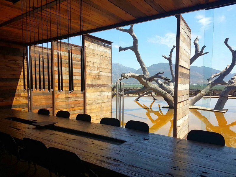 Best wineries in Valle de Guadalupe