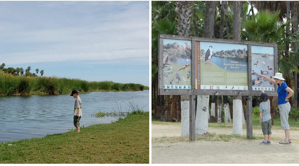 things to do in Cabo with kids