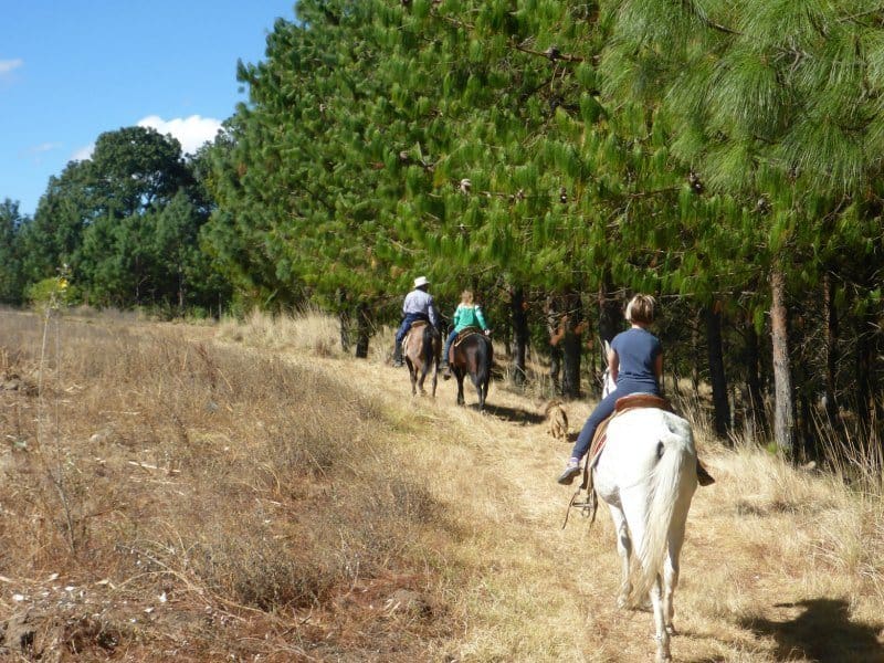 Things to do in Xela Guatemala