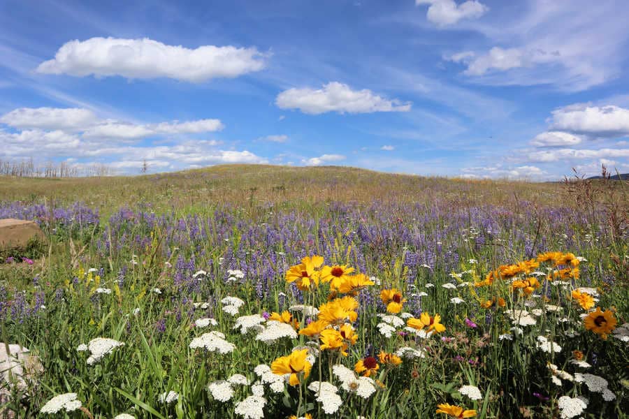 Waterton Lakes National Park