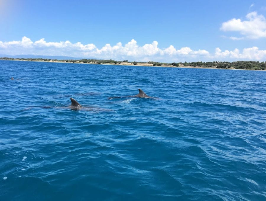 Treasure Beach Jamaica