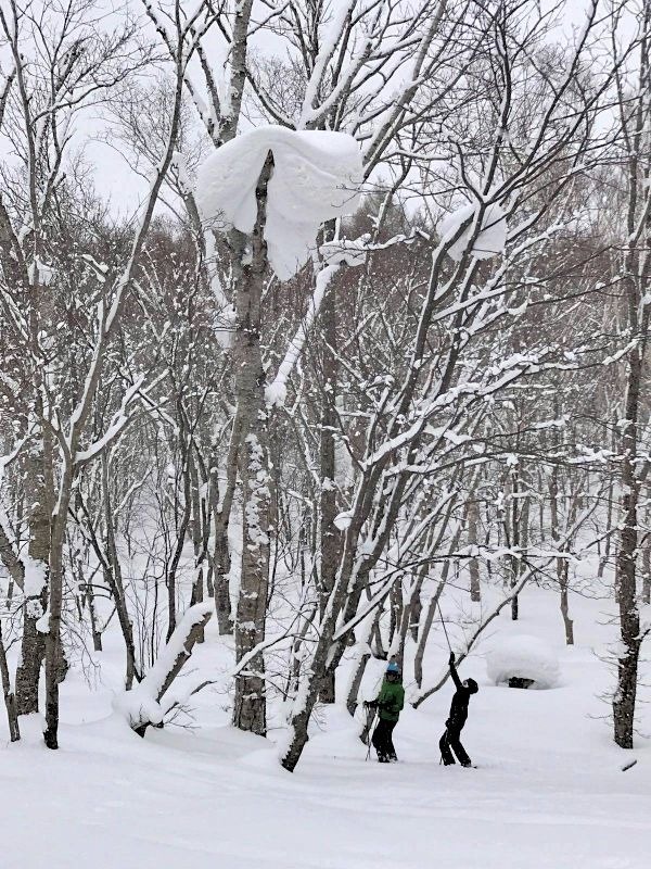 Skiing in Japan with kids