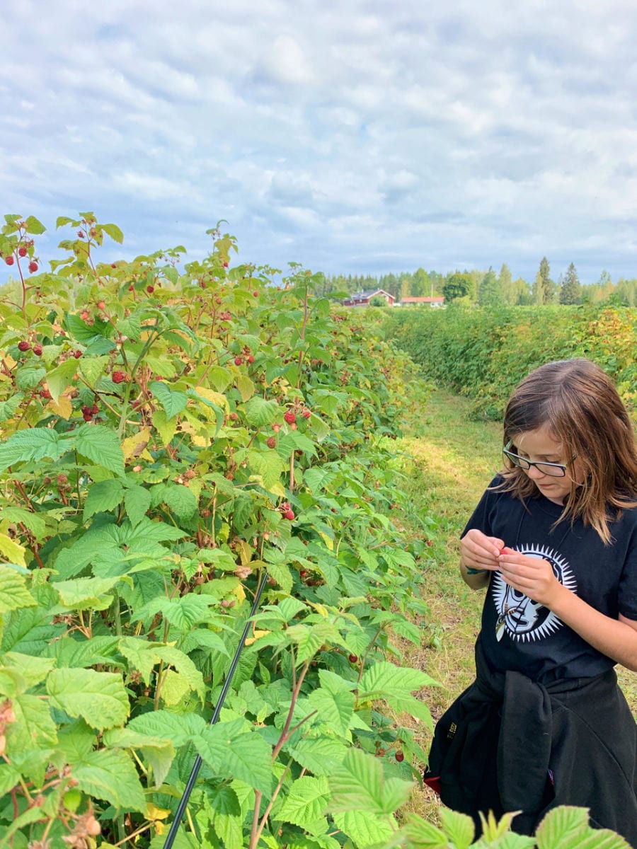 Finnish Lakeland and Lake Saimaa