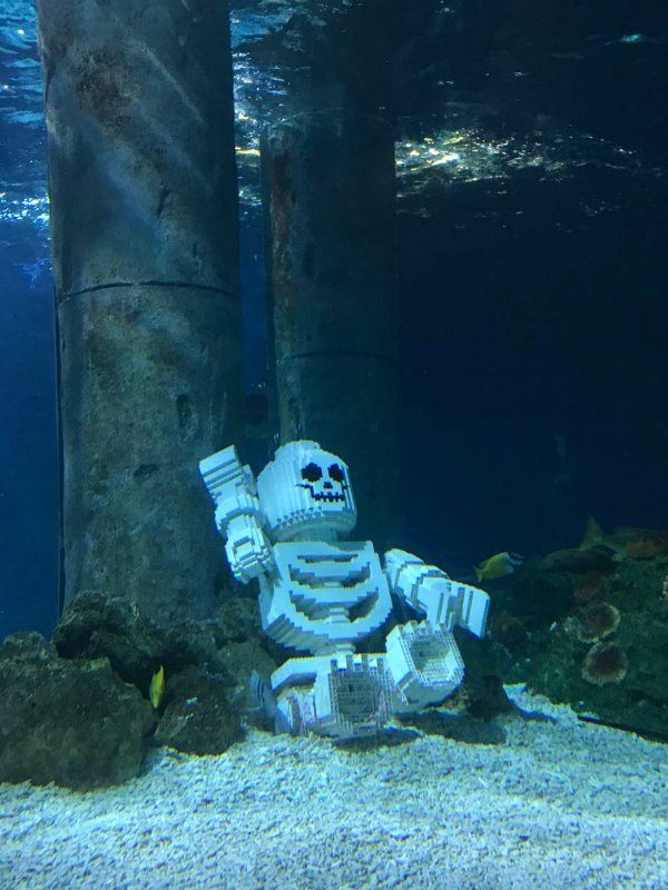 Legoland Billund Tips