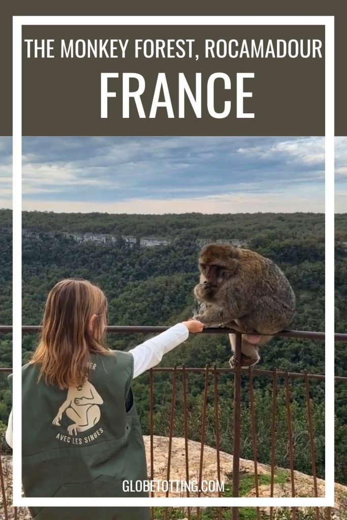 foret des singes monkey forest