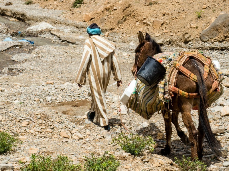 5 best places to visit in morocco with kids