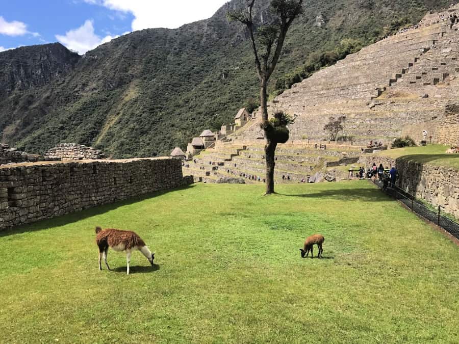 Machu Picchu with kids