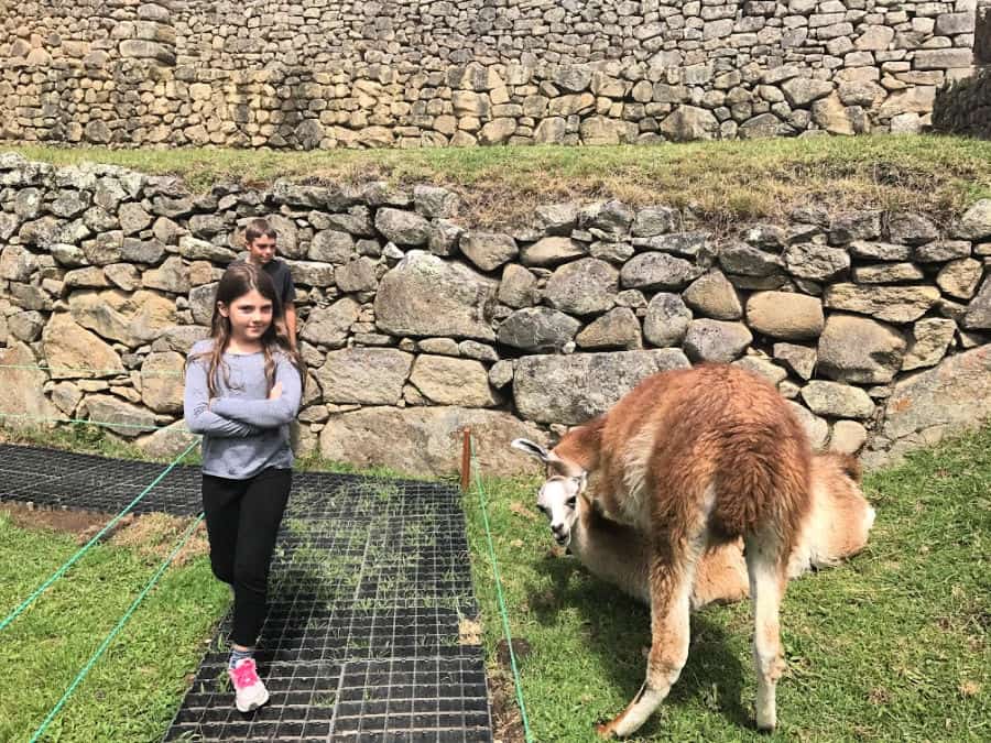 Machu Picchu with kids
