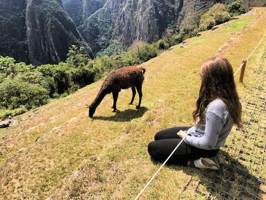 Machu Picchu with kids