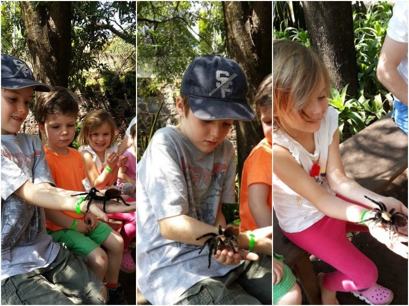 A visit to Malinalco