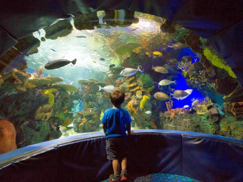 A Night at the Museum: Museum Sleepovers around the world for kids