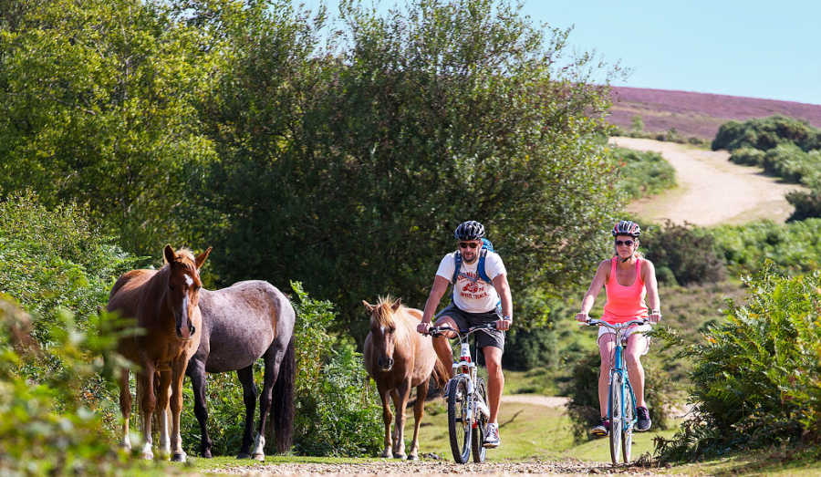 Best Day trips from London by train