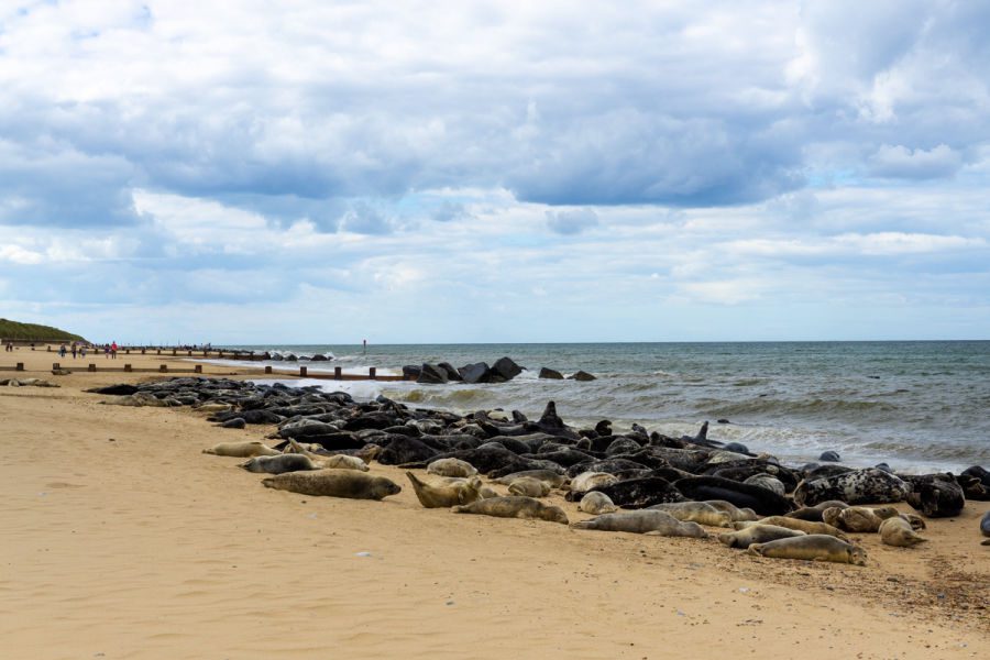 Places to visit in Norfolk