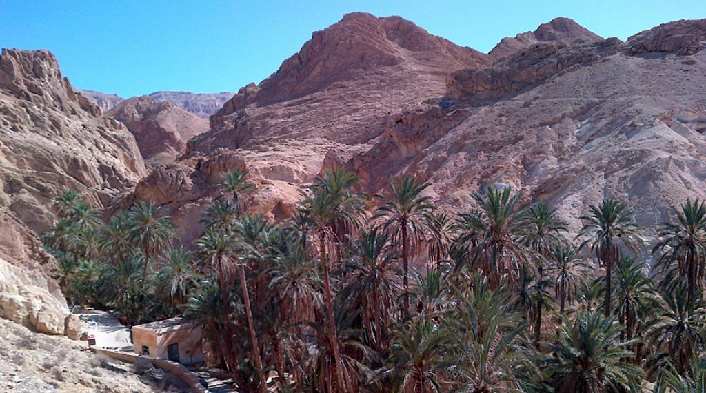 My Family Adventure: A Taste of Tunisia