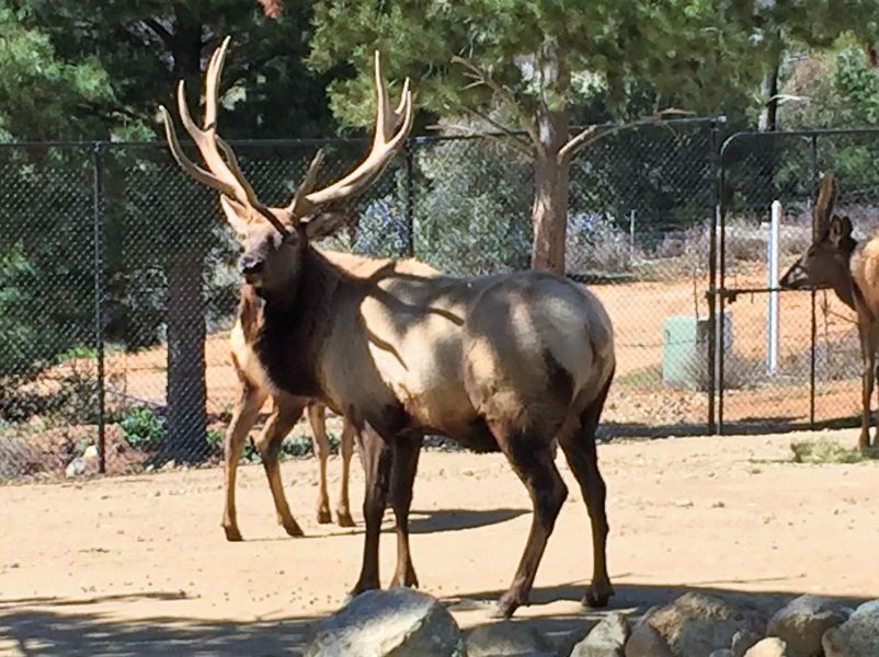 A Night at the Museum: Museum Sleepovers around the world for kids