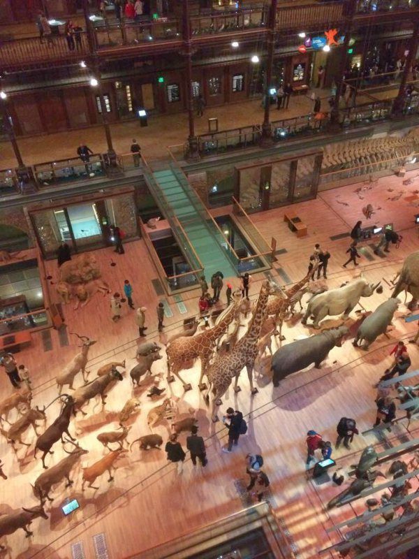 Paris with a 10-year-old