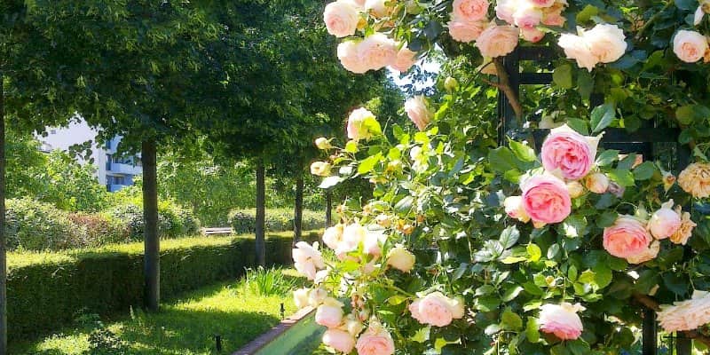 things to do in Paris with kids